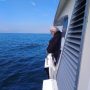 Pêche en mer à bord du Baie de Canche (1)