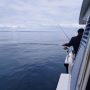 Pêche en mer à bord du Baie de Canche (2)
