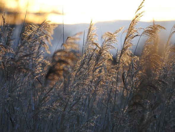 La Réserve naturelle