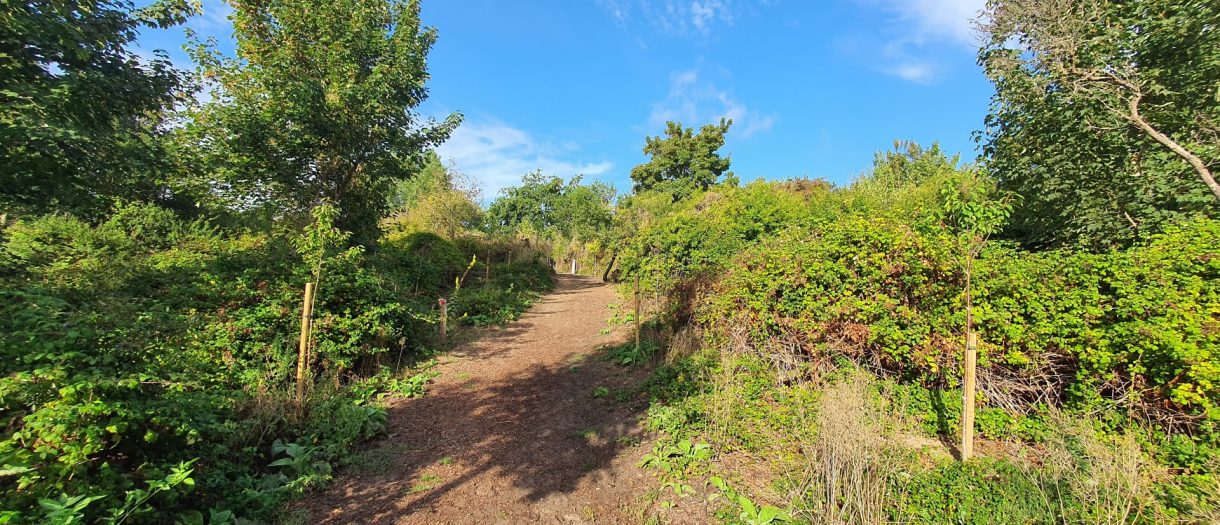 Être éco-responsable