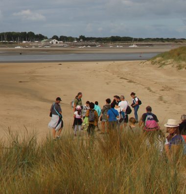 Activités & visites