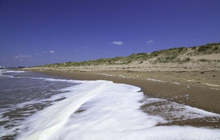 Réserve Naturelle Nationale de la Baie de Canche – Les grandes marées