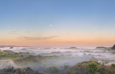 Réserve Naturelle Nationale de la Baie de Canche – Observations matinales