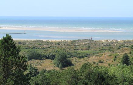 Réserve Naturelle Nationale de la Baie de Canche – De la dune boisée à l&rsquo;estuaire