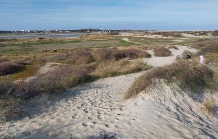 Dans les coulisses de la Réserve Naturelle Nationale de la Baie de Canche