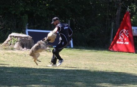 Concours canin IGP