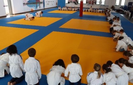 Stage d’été de Judo