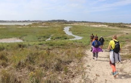 Sortie nature : dans les coulisses de la réserve
