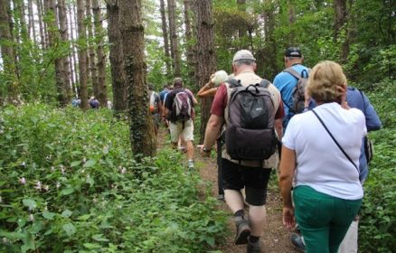 Sortie nature : grande randonnée nature