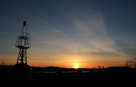 Sortie nature : la nature au lever du jour